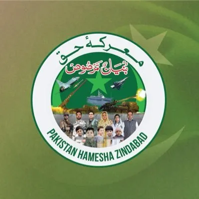 pakistanconsulatemanchester.org's icon