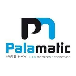 palamaticprocess.com's icon