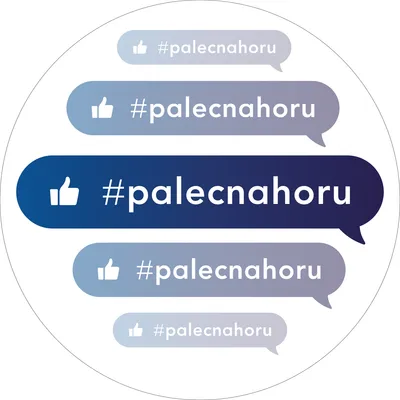 palecnahoru.cz's icon
