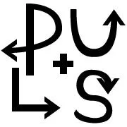palette-plus.com's icon