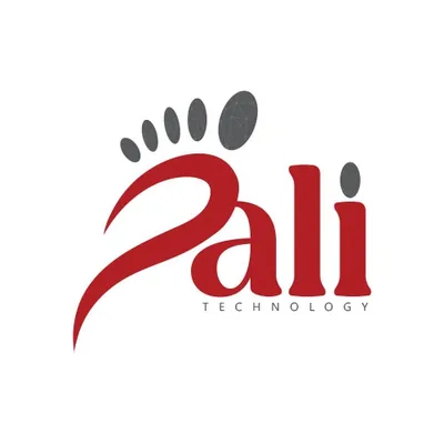 palitechnology.com's icon