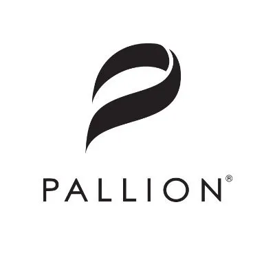 pallion.com's icon