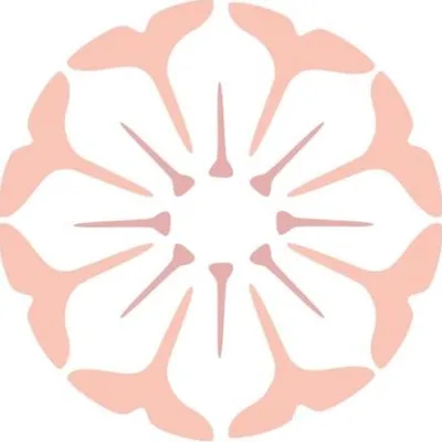 palludesign.com's icon
