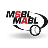 palmbeachbaseball.com's icon