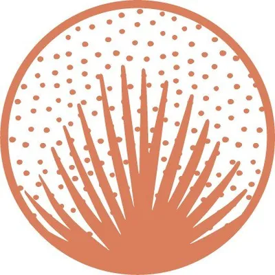 palmettoatx.com's icon