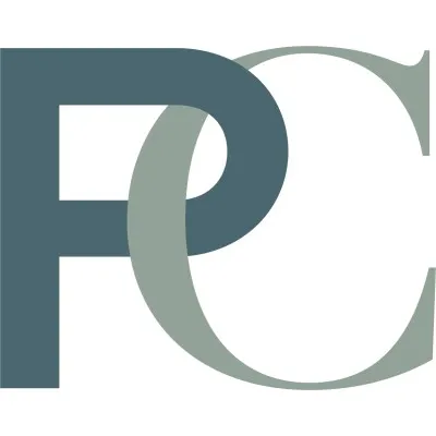 palo-capital.com's icon