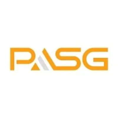 paloaltostrategy.com's icon