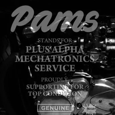 pams-japan.com's icon