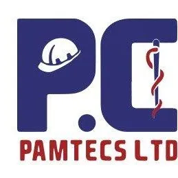 pamtecs.co.il's icon