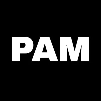 pan-african-music.com's icon