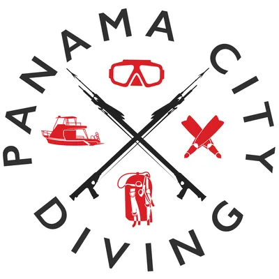 panamacitydiving.com's icon