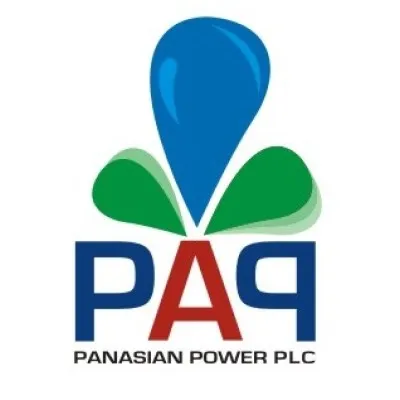 panasianpower.com's icon