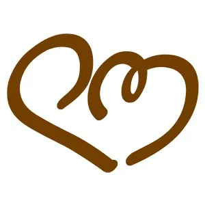 panbrioche.com's icon