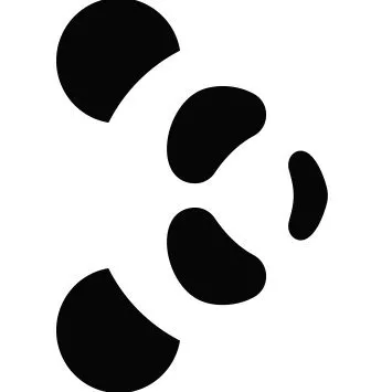 pandatechnology.com's icon