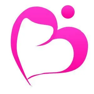 panduanibu.com's icon