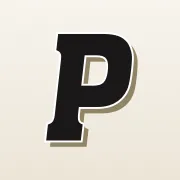 paneco.com.sg's icon