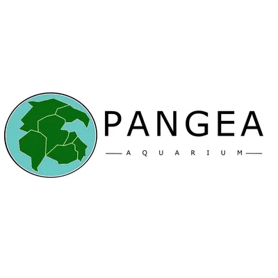 pangeaaquarium.com's icon