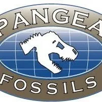 pangeafossils.com's icon