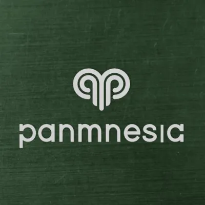 panmnesia.com's icon