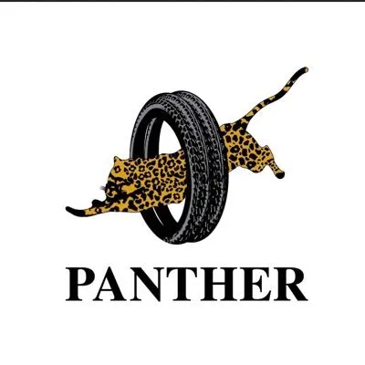 panthertyres.com's icon