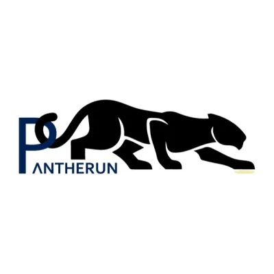 pantherun.com's icon
