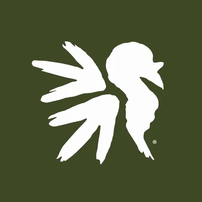 panwtf.org's icon