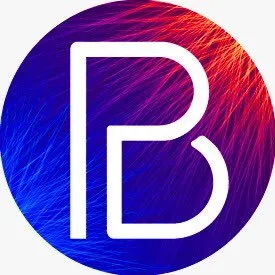 paradaybertoni.com.uy's icon