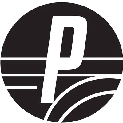parallelag.com's icon