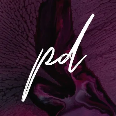 paramourhost.com's icon