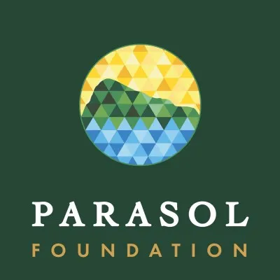 parasolfoundation.org's icon
