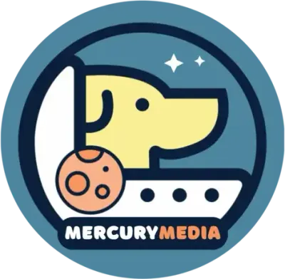 partnerwithmercury.com's icon