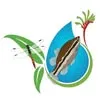 pasesaqua.com.au's icon