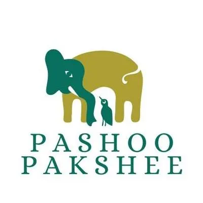 pashoopakshee.com's icon