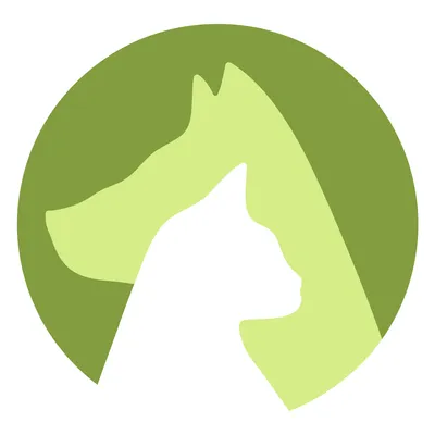 patinhasepatudos.pt's icon