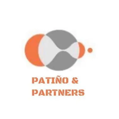 patinopartners.com.ve's icon