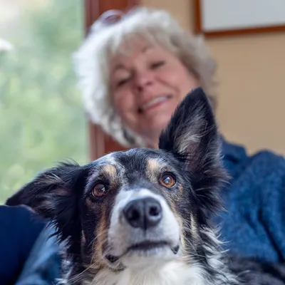 patriciamcconnell.com's icon