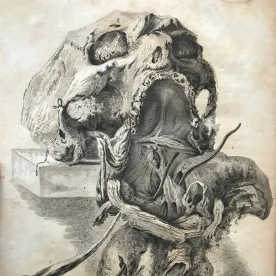 patricksrarebooks.com's icon