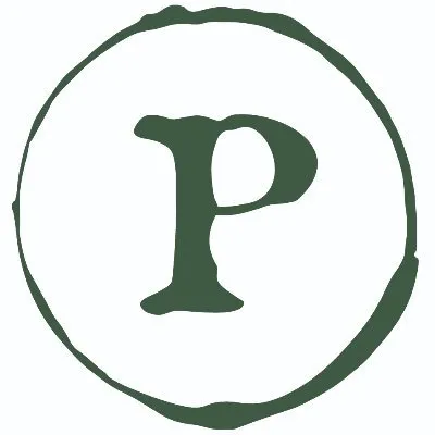 patwellconsultants.com's icon