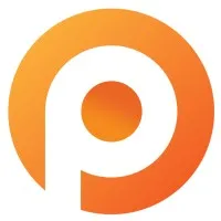 pauwelsconsulting.com's icon