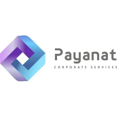 payanat.com's icon