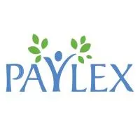 paylex.ro's icon