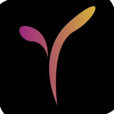 paylogue.com's icon