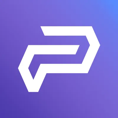 paynura.com's icon