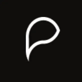 payyng.com's icon