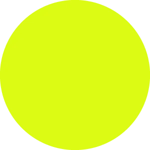 payz.com's icon