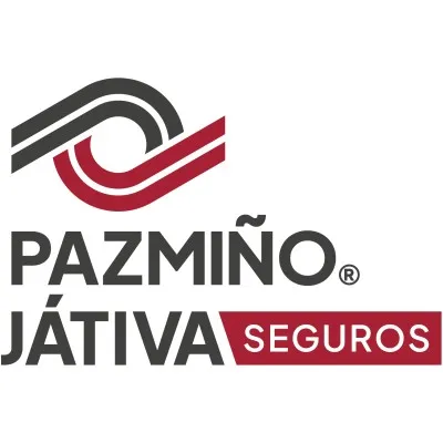 pazminojativa.com's icon