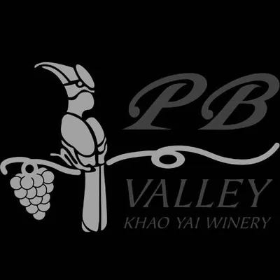 pbvalley.com's icon