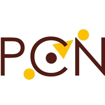 pcnunes.com's icon