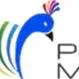 peacockmedia.com.ng's icon