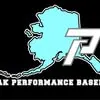 peakperformancebaseball.com's icon